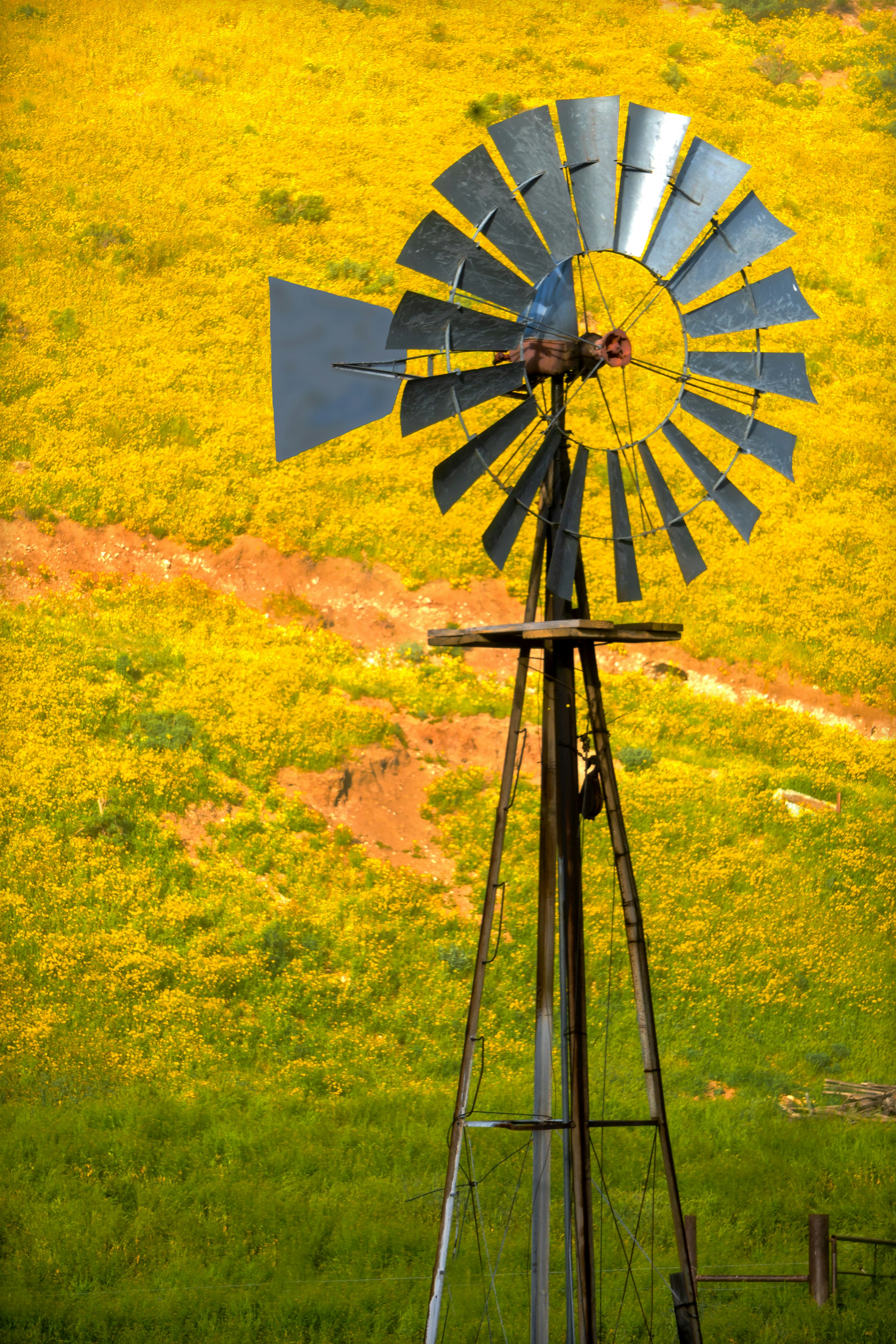 blue and yellow windmill on green grass field during daytime